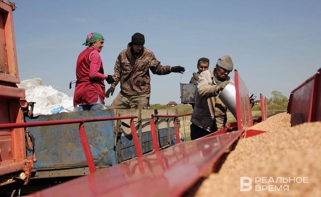 Россия прорабатывает альтернативы зерновой сделке