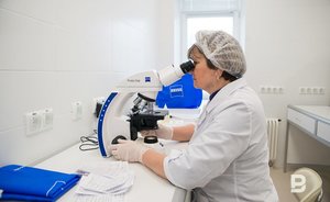 В казанских школах зафиксировано 13 случаев педикулеза