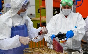 В Татарстане расширили функции Главного управления ветеринарии