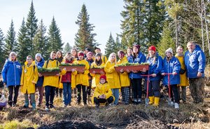 Подведены итоги грантового конкурса СИБУРа для школ и школьных лесничеств