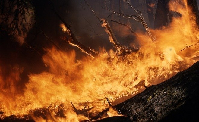 В Башкирии потушили единственный природный пожар в регионе