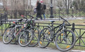 В Подмосковье открыли участок велодороги Москва — Петербург