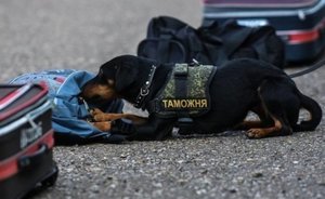 Россиянка пыталась ввезти из Стамбула в Казань незадекларированную «ювелирку»