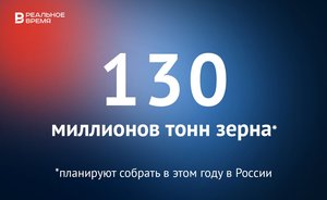 В России планируют собрать 130 миллионов тонн зерна — это много или мало?