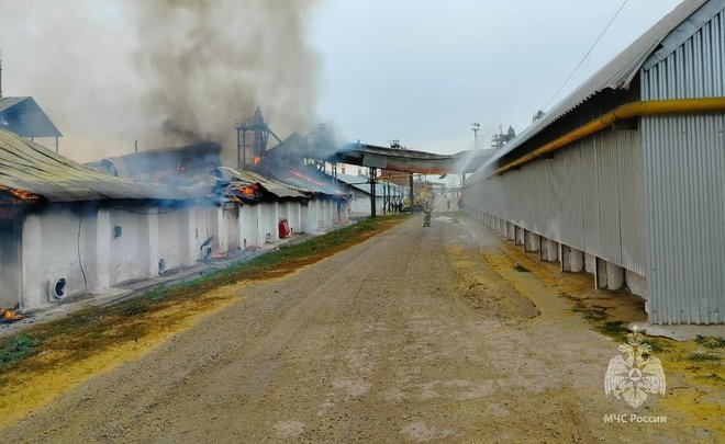 На зерноскладе Заинского хлебоприемного предприятия вспыхнул пожар