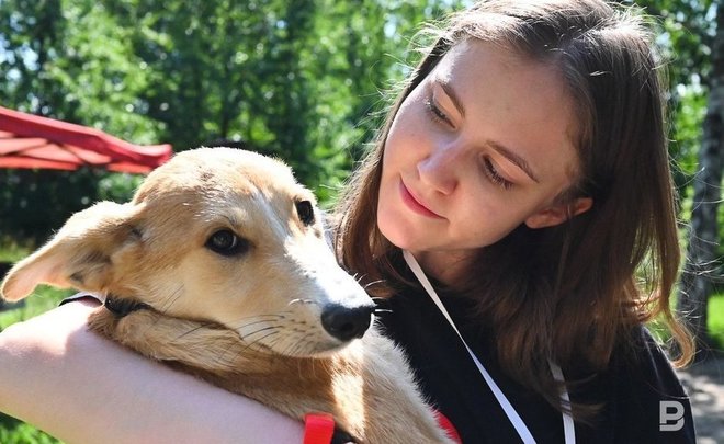 Казанцы смогут приютить собак из «Зооцентра»