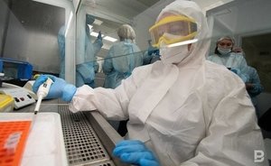 Роспотребнадзор: в России риска распространения генипавируса, выявленного в Китае, практически нет