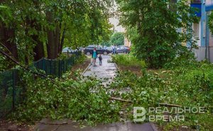 В Татарстане вновь ожидается гроза и сильный ветер