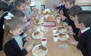В России запускают масштабный общественный мониторинг школьной еды