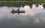 На Шишкинских прудах в Елабуге утонул 20-летний парень