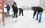 Убирать снег с детских площадок татарстанцам придется за свой счет — ТСЖ и УК это делать не обязаны
