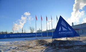 Татарстан продал ОЭЗ «Алабуга» землю для переработчиков продукции «Аммония» за 1,1 миллиарда рублей