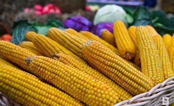 В Татарстане начнет работу горячая линия по вопросам качества овощей