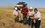 Закупочные цены на зерно в Татарстане снизились из-за прошлогодних запасов
