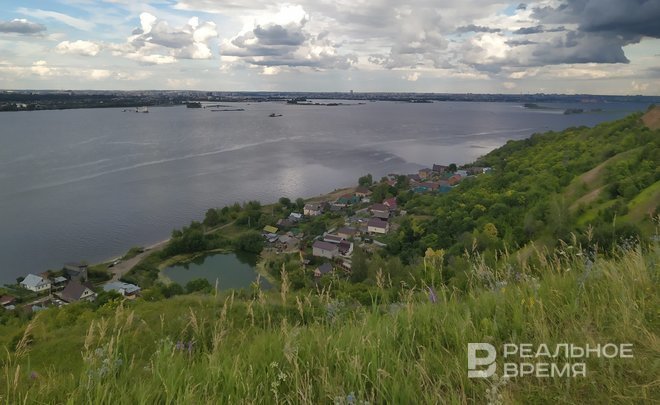 Большинство россиян этим летом хотя бы раз отдыхали на природе