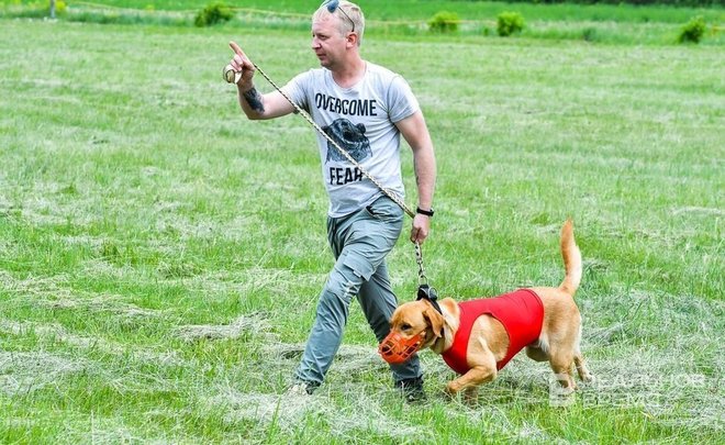 Итоги дня: саммит Россия — Африка, налог для владельцев собак и кошек, переворот в Нигере