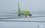 Самолет со 197 пассажирами экстренно приземлился в Тюмени, не долетев до Новосибирска