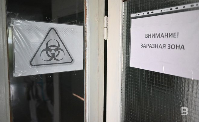 В России выявлен второй случай оспы обезьян