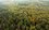 В лесопарке рядом с «Казаньоргсинтезом» ученые-экологи нашли одну из самых старых сосен Татарстана