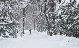 Жителей Татарстана предупредили о понижении температуры до -28 градусов