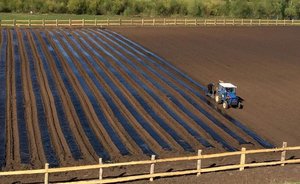 Татарстан получит почти миллиард рублей на развитие сельских территорий