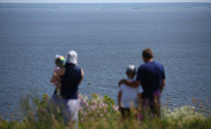 В Татарстане проведут митинг в память о погибших 5 лет назад пассажирах «Булгарии»