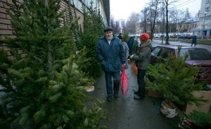 В Казани смогут разбить до 20 официальных елочных базаров