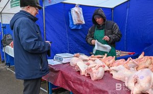 Правительство России обнулило пошлины на ввоз замороженного мяса кур
