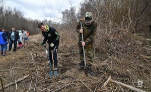 С начала санитарно-экологического двухмесячника в Татарстане выявили 742 природоохранных нарушения