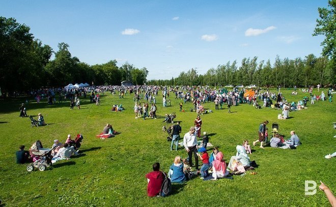 В Черемшанском районе РТ на строительство парка выделят почти 1,5 млн рублей