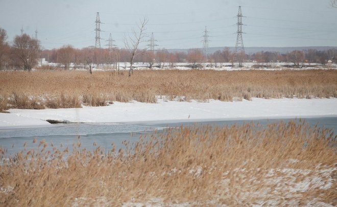 С начала года в Татарстане предотвратили ущерб водным биоресурсам на 26 млн рублей