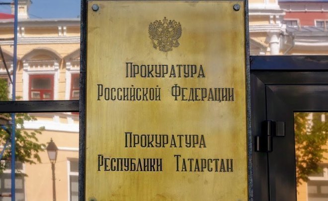 Прокуратура Татарстана: в МВД незаконно отказались возбуждать дело после нападения собаки на школьницу