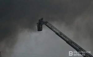 Площадь лесного пожара в Геленджике возросла до 118 га
