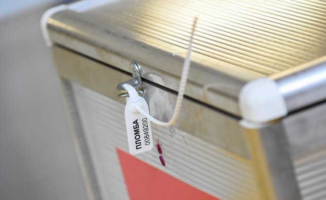 ЦИК Татарстана рекомендовал не приходить на голосование по поправкам в Конституцию с детьми