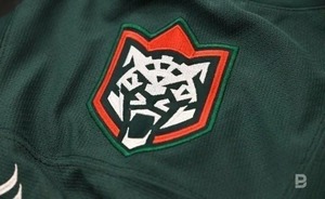 Бывший защитник «Локомотива» стал игроком «Ак Барса»