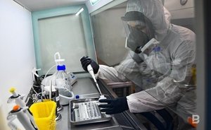 За сутки в России выявили 12 241 случаев COVID-19