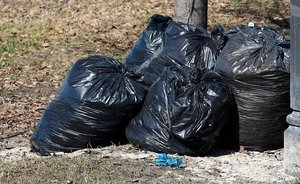 Россиянам рассказали, чем грозит закапывание мусора на даче