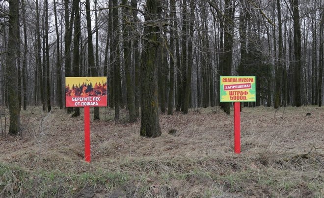 В Татарстане лесники перешли на круглосуточной режим работы