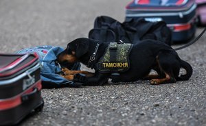 Татарстанские таможенники стали выявлять в почте «социально опасные» нарушения