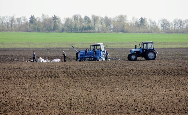 В Гидрометцентре России заявили, что погода в этом году благоприятная для посевов сельхозкультур