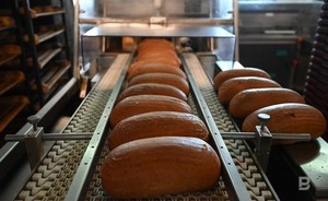 Хлебопекарные предприятия Татарстана получили субсидии на 164 млн рублей