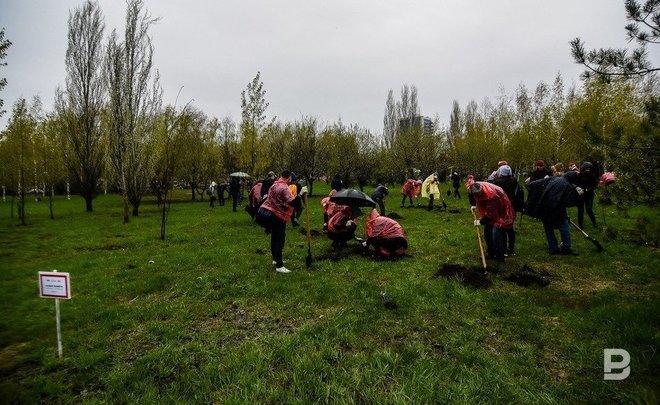Татарстанцев предупредили о сильном дожде и ветре в четверг