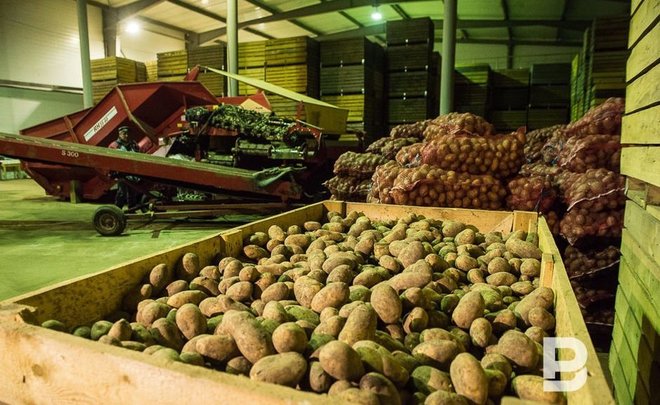 «Борщевой набор» в Татарстане за год подешевел больше чем на треть