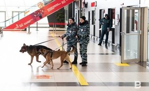 В Казани пассажирку самолета оштрафовали за курение на борту