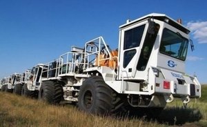 В Казани на 85% выросло число вакансий в сфере сельского хозяйства