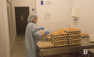 Ассоциация торговых сетей не получала информации о перебоях в поставках яиц из-за птичьего гриппа