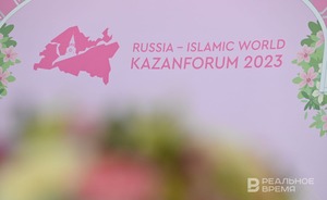 На KazanForum обсудили создание Центра по изучению редких видов кошек в Татарстане и разведение снежного барса