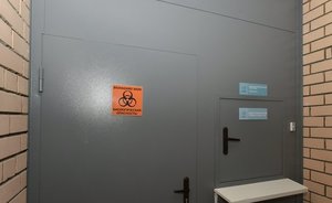 В Минздраве Татарстана рассказали о состоянии пассажиров Diamond Princess