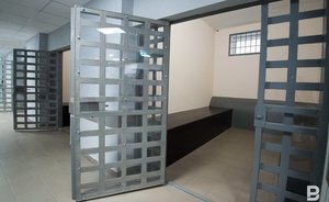 Жена обвиненного в изнасиловании полуторагодовалой дочери в Татарстане рассказала подробности случившегося