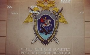 Бастрыкин поставил на контроль дело о покушении на убийство соцработницы в Агрызе